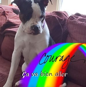 Meet your Posher, Marie claude